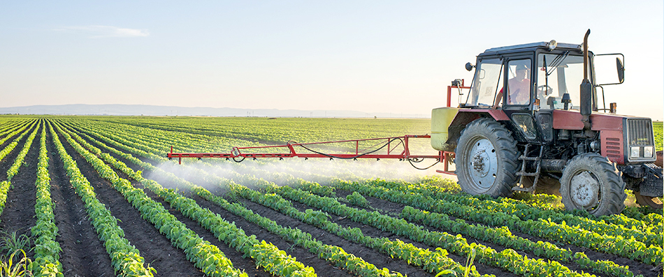 918������(�й���)�콢��