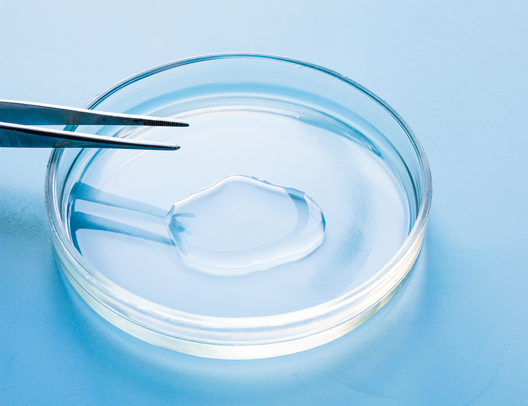 918������(�й���)�콢��