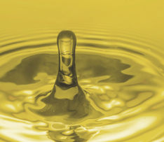 918������(�й���)�콢��