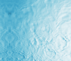 918������(�й���)�콢��