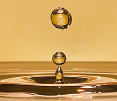 918������(�й���)�콢��