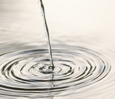 918������(�й���)�콢��