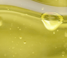 918������(�й���)�콢��