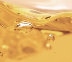 918������(�й���)�콢��